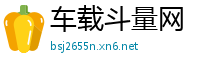 车载斗量网